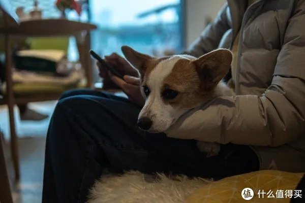 a6400开箱与三天使用体验 「多图预警!」