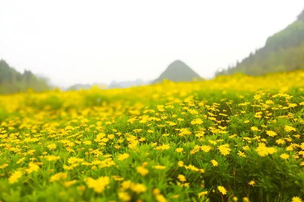 俄木塘在哪里 俄木塘在什么地方