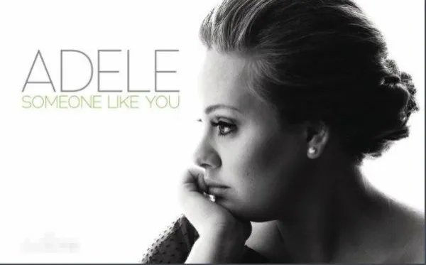 someone like you的中文翻译和歌词？