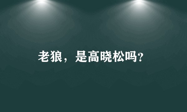老狼，是高晓松吗？