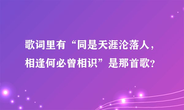歌词里有“同是天涯沦落人，相逢何必曾相识”是那首歌？