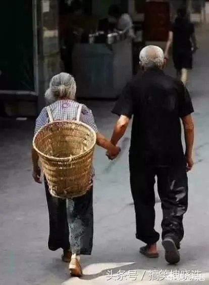 如何看待四川自贡一大爷,高速上“飙”共享单车欲返乡,结果骑反了,怎么看?