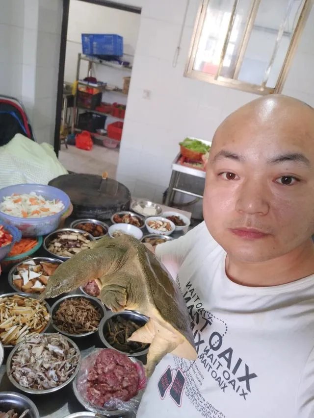 餐饮巨头金钱豹倒闭，俏江南转型做外卖、西贝莜面村做快餐，大家怎么看？