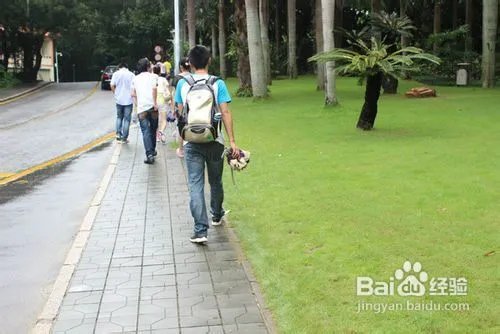 深圳仙湖植物园旅游攻略