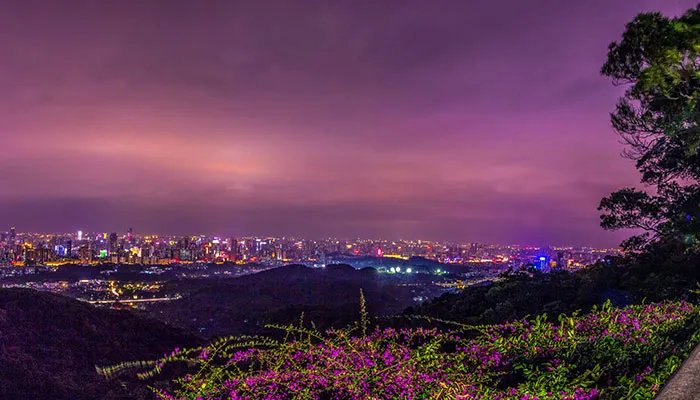 广州旅游攻略景点必去 广州最应该去的地方