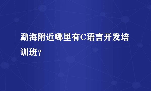 勐海附近哪里有C语言开发培训班？