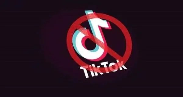 如何看待Tik Tok起诉美国政府的决定,你会支持吗?