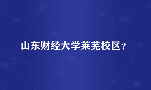 山东财经大学莱芜校区？