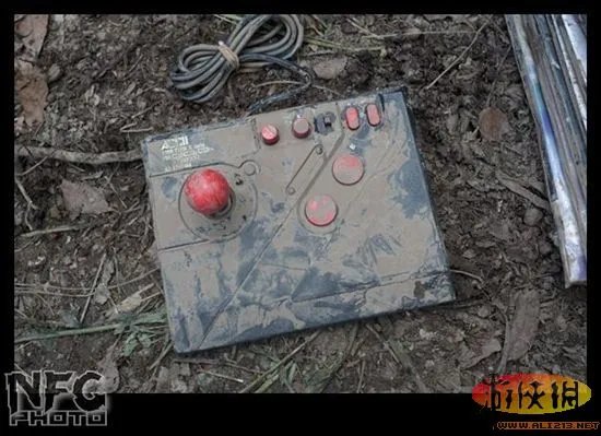 百年洪水来袭 澳洲玩家藏品惨遭洪水蹂躏(图)