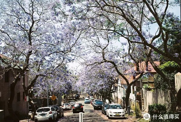 Contax G1 胶片相机:记录旅途的点点滴滴