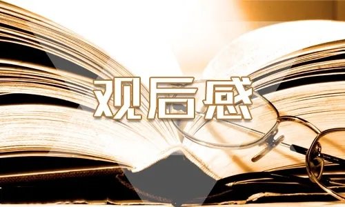 青年大学习第十季第八期答案观后感5篇