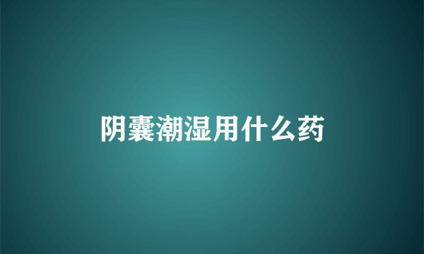 阴囊潮湿用什么药