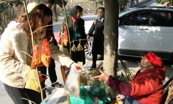 梅花婆婆是何许人也?