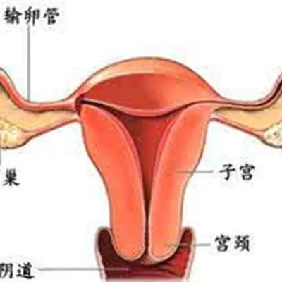 阴唇黑怎么回事?