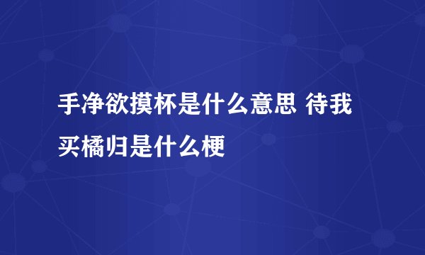 手净欲摸杯是什么意思 待我买橘归是什么梗