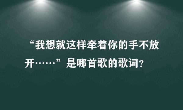 “我想就这样牵着你的手不放开……”是哪首歌的歌词？
