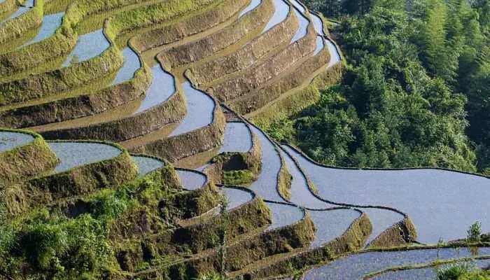 2022年4月出行黄道吉日一览表