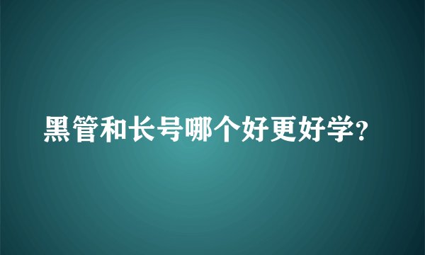 黑管和长号哪个好更好学？
