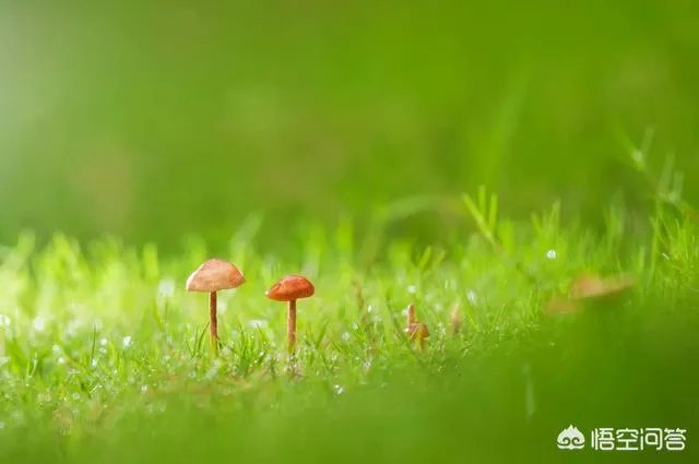 阴雨天如何拍出好照片?