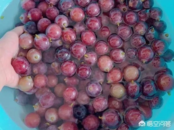 酿酒的方法和步骤？