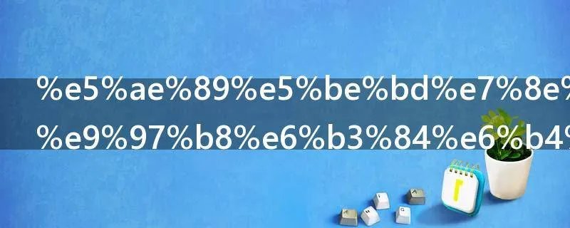 安徽王家坝闸泄洪影响哪里