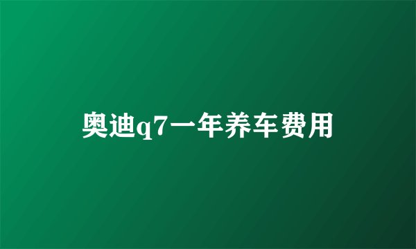 奥迪q7一年养车费用