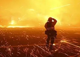 美国加州大火的根本原因到底是什么?