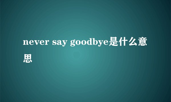 never say goodbye是什么意思