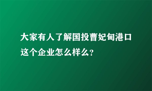 大家有人了解国投曹妃甸港口这个企业怎么样么?