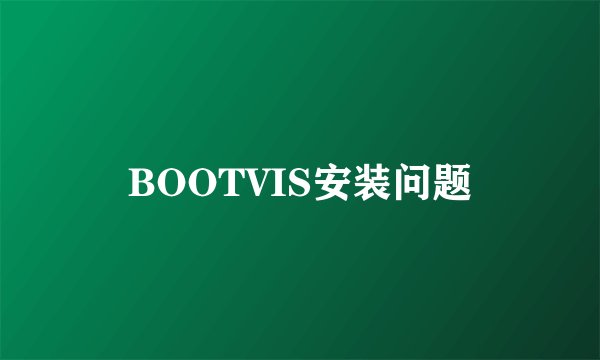 BOOTVIS安装问题