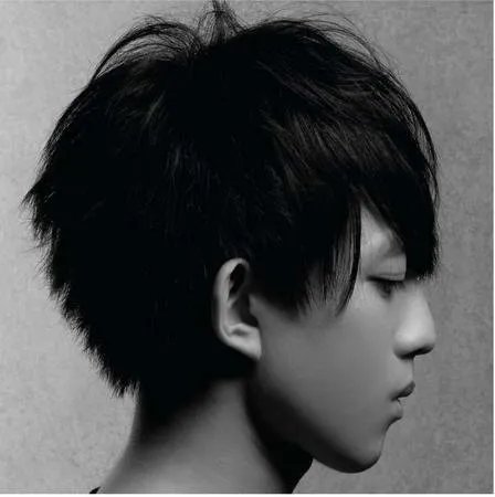 林宥嘉生活照家庭照曝光  揭秘林宥嘉家庭背景