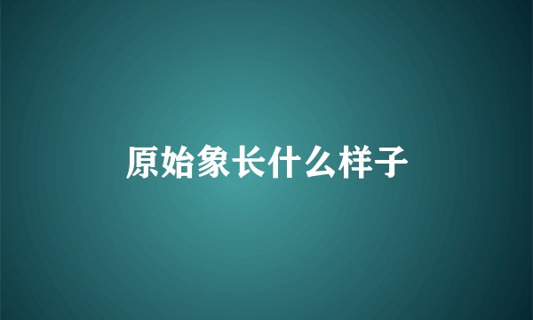 原始象长什么样子