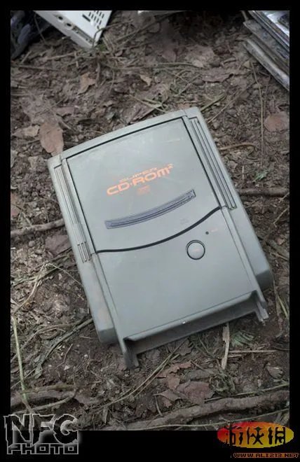 百年洪水来袭 澳洲玩家藏品惨遭洪水蹂躏(图)