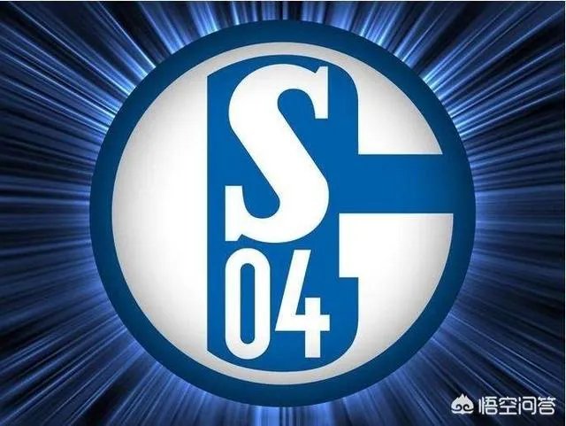 怎么评价沙尔克04？