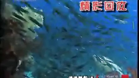 天地科学季的天地科学季