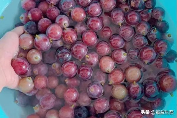 酿酒的方法和步骤?