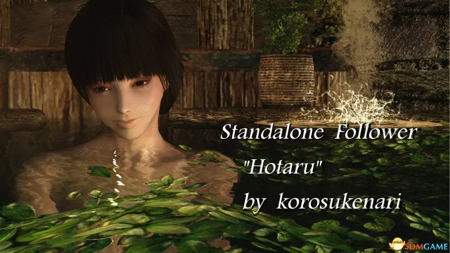 上古卷轴5 全天际美女计划 NPC美化 独孤城系列完毕