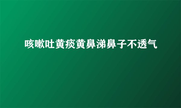 咳嗽吐黄痰黄鼻涕鼻子不透气