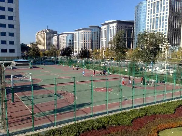 东单体育馆的简介