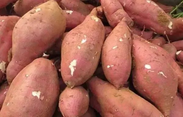 湖北女孩街头遇红薯刺客:称完18块,这种定价合理合规吗?