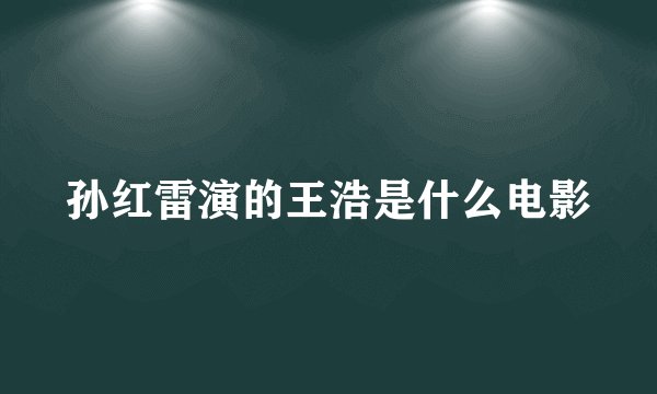 孙红雷演的王浩是什么电影