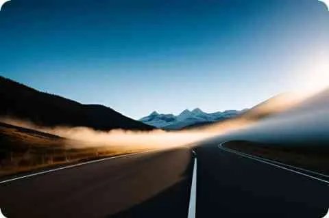 金狮子是什么果实