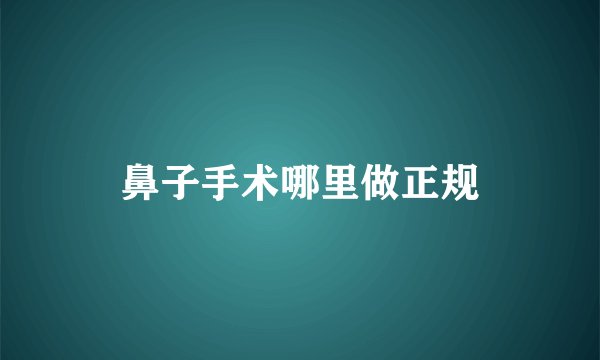 鼻子手术哪里做正规