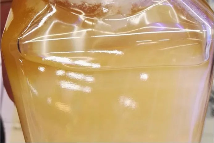 蜂王浆有什么作用与功效