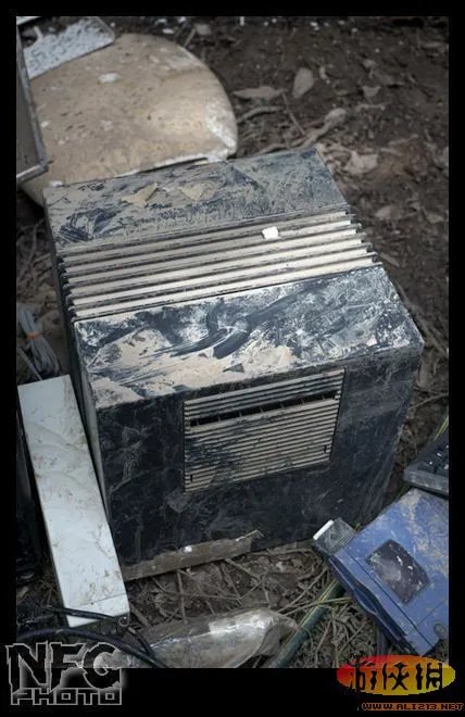 百年洪水来袭 澳洲玩家藏品惨遭洪水蹂躏(图)