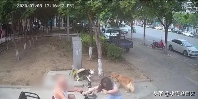 女子路边树上拴狗没让儿童靠近,老人骑车猛撞狗主人,你怎么看?