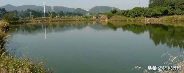 农村鱼塘增8亩，鱼塘用多大的增氧机比较好，该注意些什么？叶轮式增氧用多大的？