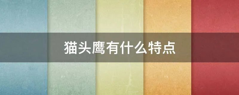 猫头鹰有什么特点