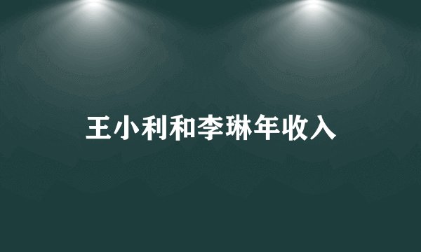 王小利和李琳年收入