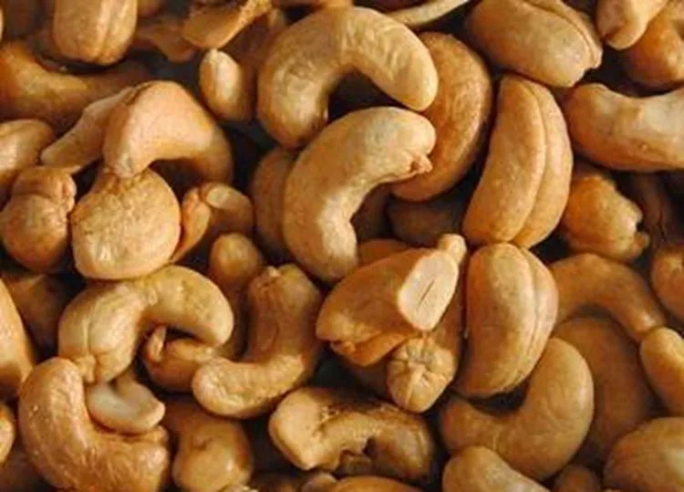 腰果的功效与作用